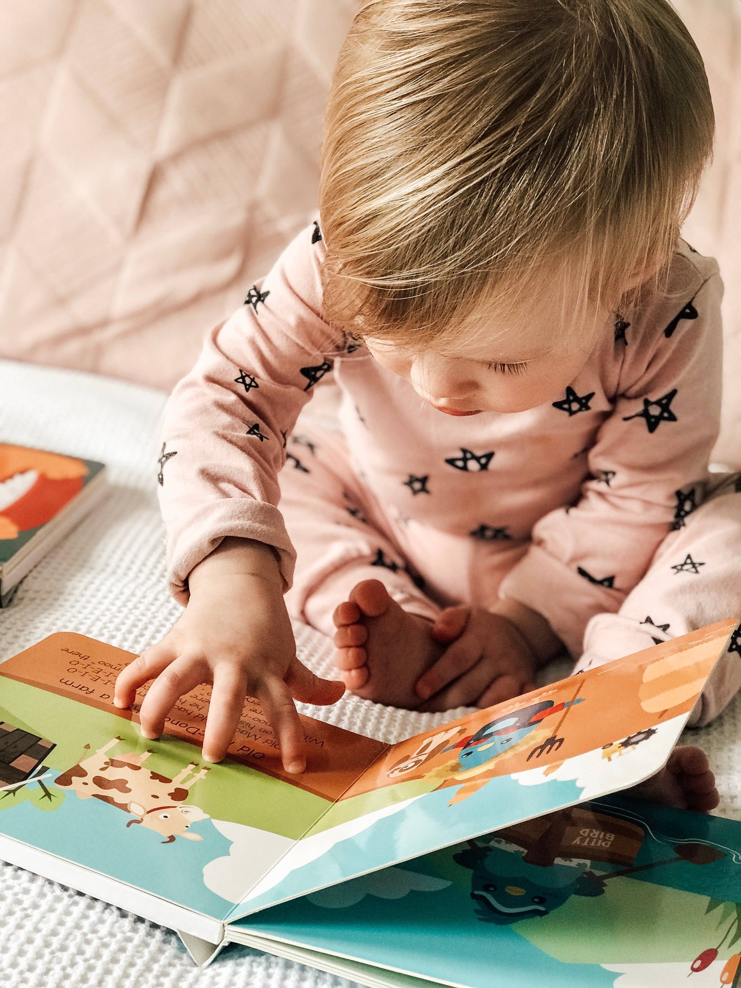 Ditty Bird Sound Book : Nursery Rhymes |  Mother's Day Gift!