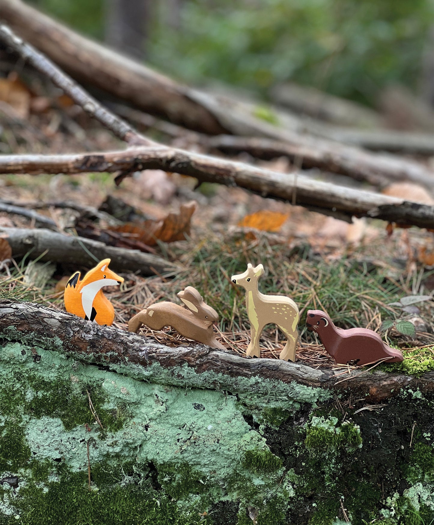 Woodland Animals